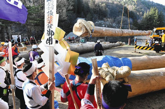 神様」８本勢ぞろい 御柱祭、下社山出し閉幕：中日新聞Web