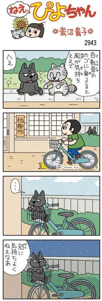 ねえ、ぴよちゃん：中日新聞Web