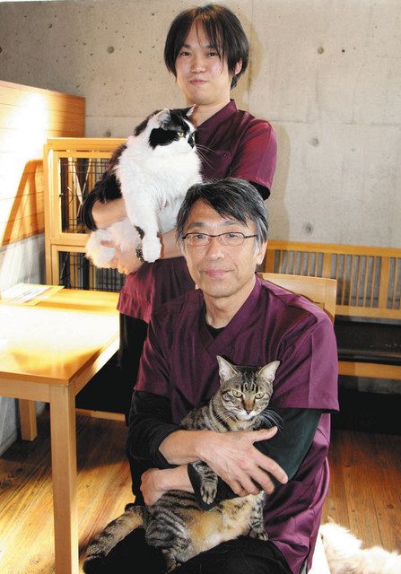 不幸な猫ゼロへ手術安価に 四日市の獣医師 不妊手術専門 猫院 オープン 中日新聞web