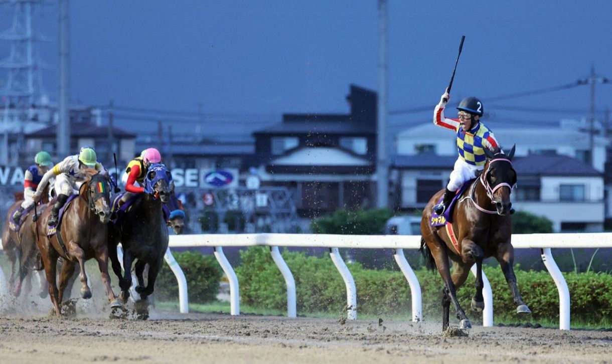 エムタカ No.7131 盃 12ヶ入