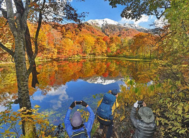 刈込池に絶景の紅葉 大野 中日新聞web 刈込池に絶景の紅葉 大野 中日新聞web