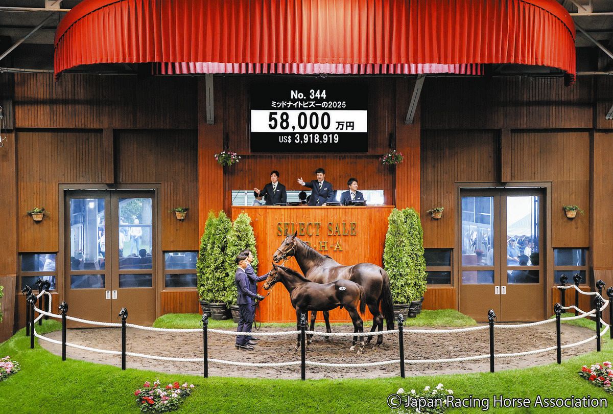ゆみれ　イクイノックス　出資者限定　有馬記念　優勝記念品 ゆみれ様専用 イクイノックス 出資者限定 有馬記念 優勝記念品