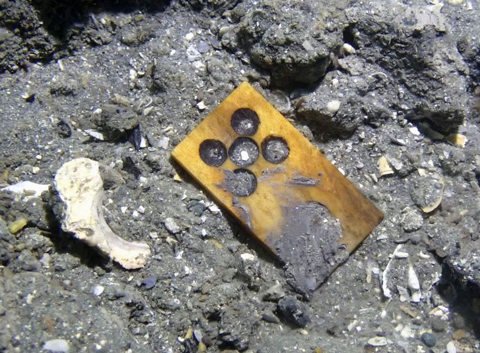 　鎌倉時代の元寇船から見つかった札のような物＝２１日、長崎県松浦市の鷹島沖（松浦市教育委員会提供）