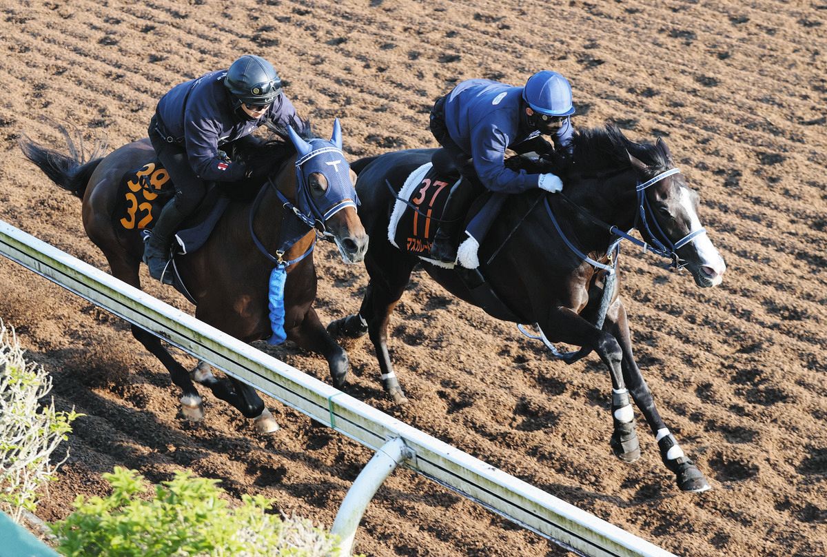 日本ダービー2週前追い切り】マスカレードボールは美浦坂路で