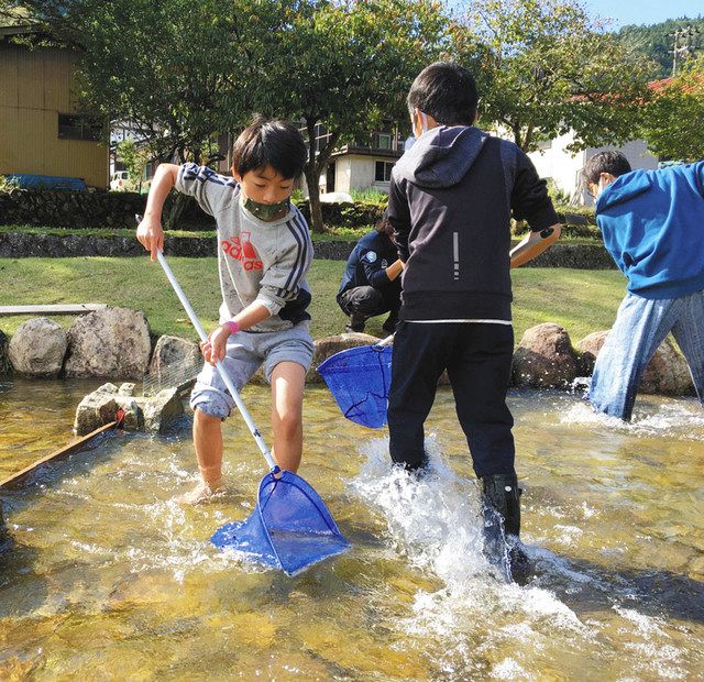 たも振るい「鮎すくい」 白鳥・清流長良川あゆパーク、子どもら夢中