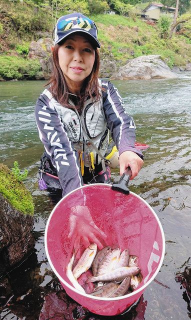 アマゴ釣り比べ 岐阜 郡上漁協管内 中日スポーツ 東京中日スポーツ