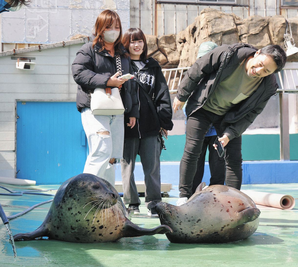 水槽飛び出し、あなたと「ゼロ距離」 三重・伊勢シーパラダイス