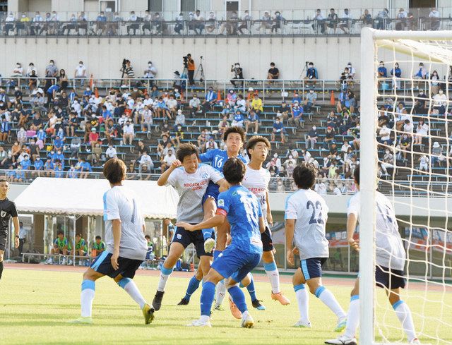福井掘れ惚れ 福井ユナイテッドの観客増 中日新聞web