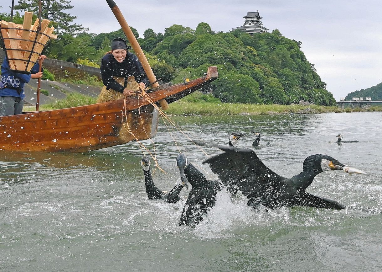 長良川の鵜飼いは国家公務員... | Q太郎のブログ
