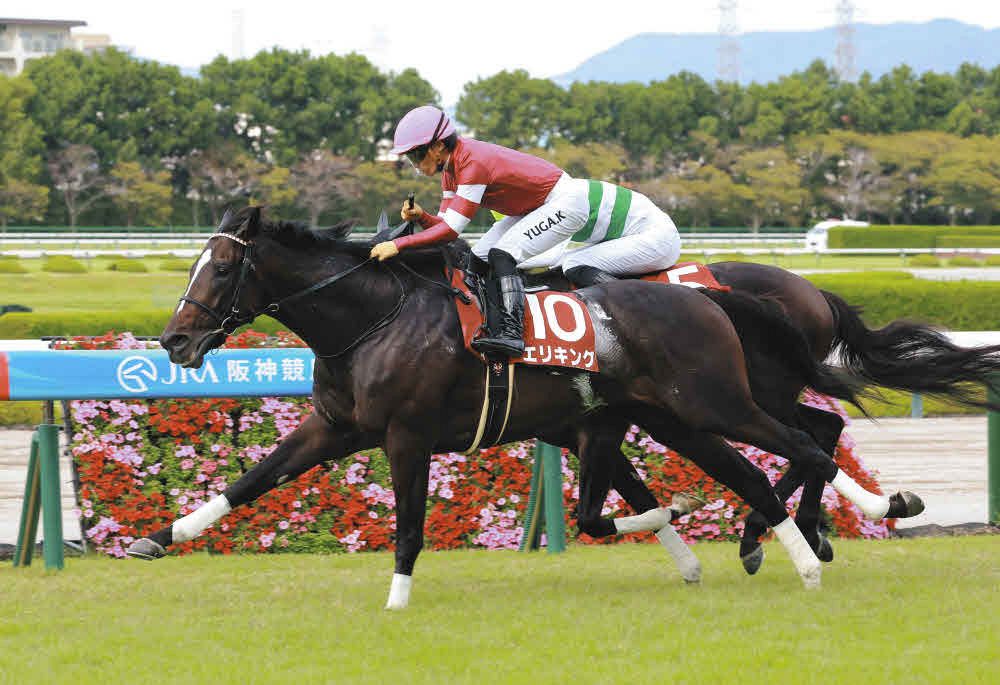 菊花賞】特別登録馬を発表、20頭がエントリー 神戸新聞杯勝ち馬