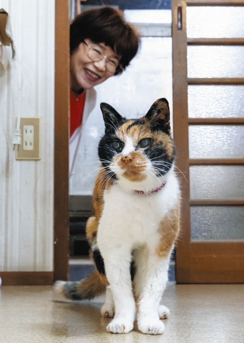 動画】人間だと116歳 三重・松阪市の超長寿ネコ「みけちゃん」天寿を