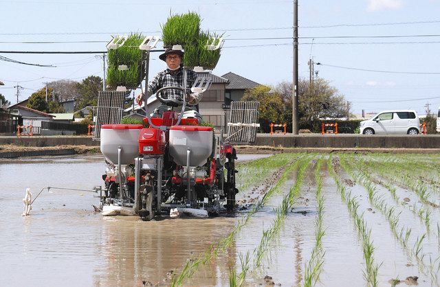 夏場に新米届けたい 早場米 南区で早くも田植え 中日新聞しずおかweb