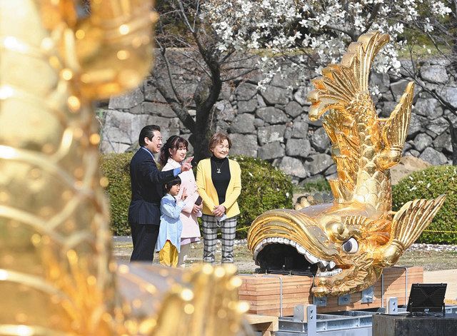 地上の金しゃち 見上げた輝き ２０日から展示 中日新聞web