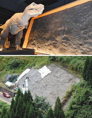 恐竜駆けた姿 浮かぶ 富山 大山の足跡化石群 北陸中日新聞web