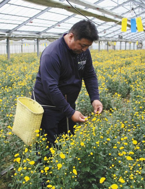 食卓ものがたり 小菊 愛知県豊橋市 中日新聞web