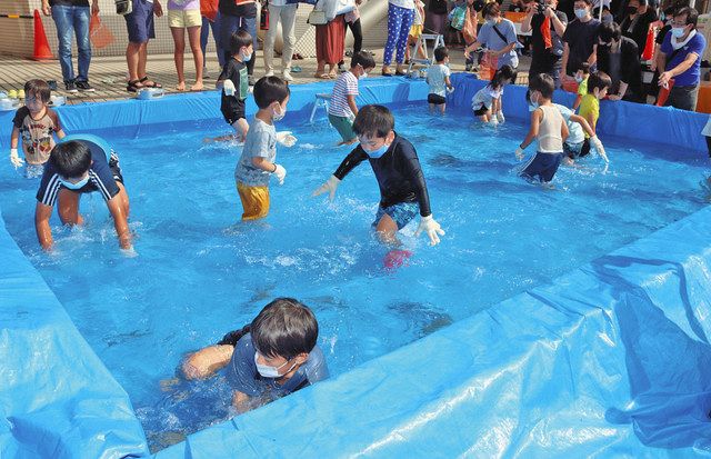 カンパチつかみ取りに子ども笑顔 越前町で３年ぶり さかなまつり 中日新聞web