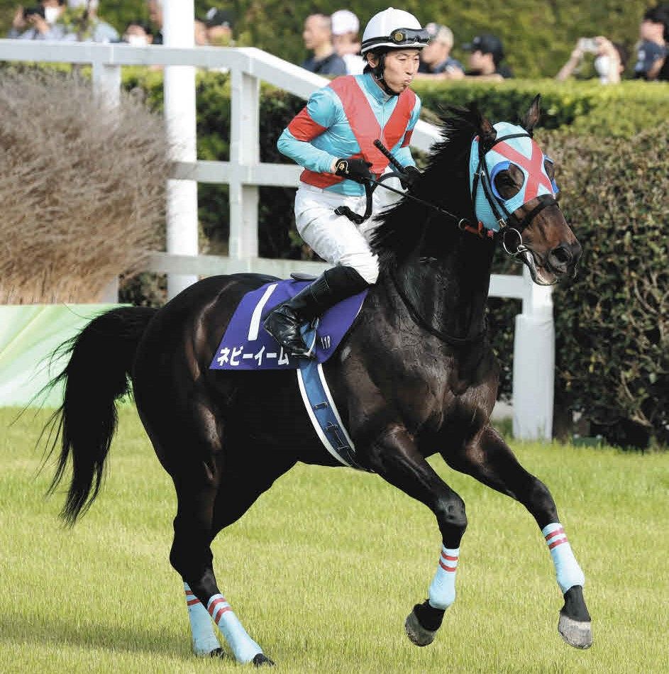 熊沢重文さんの二刀流予想】阪神コースに適性あるネビーイーム本命視