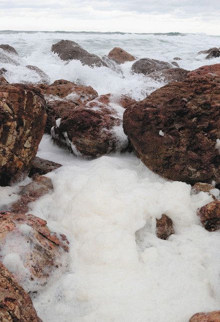 石川 あわわ 冬の知らせ 輪島 曽々木海岸に 波の花 北陸中日新聞web