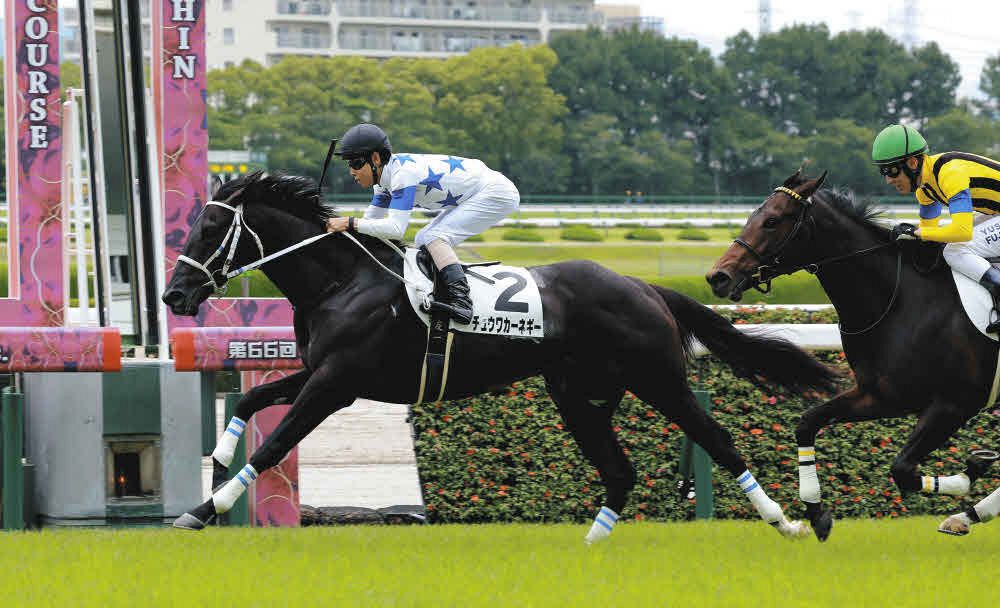 2歳新馬戦】JRA2歳馬の一番星はモーリス産駒、ダービージョッキー