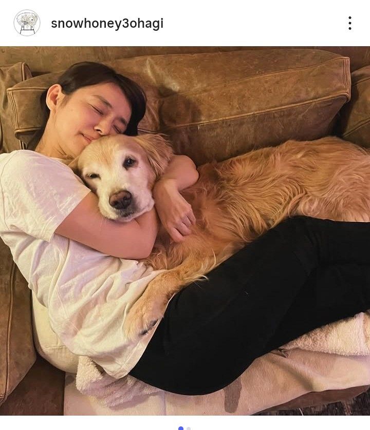 実際の投稿】「旅立っていきました」石田ゆり子、愛犬「雪」を