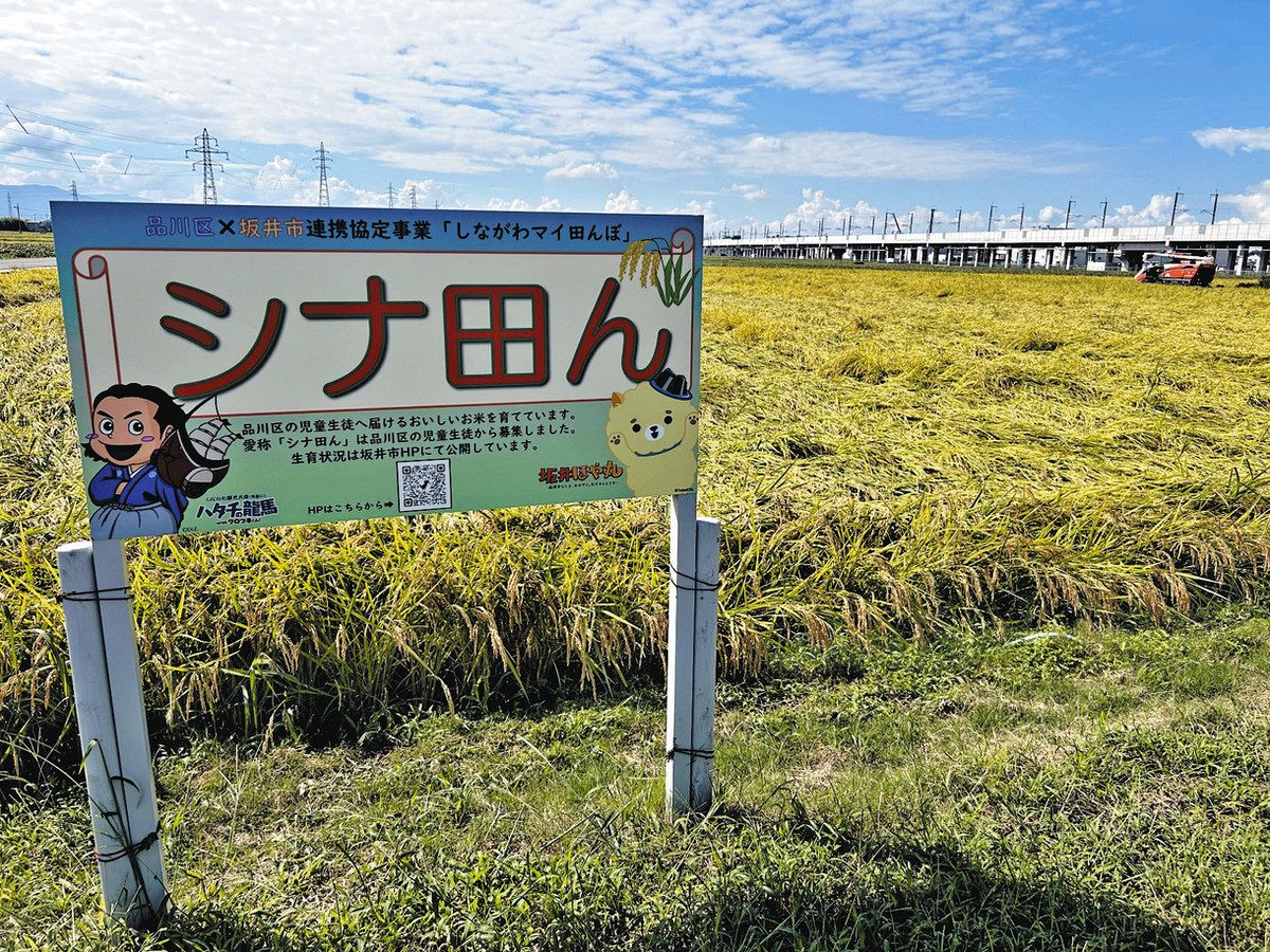 坂井産米通じ市をPR 専用田んぼ品川区の給食に提供:日刊県民 坂井産米通じ市をPR 専用田んぼ品川区の給食に提供:日刊県民