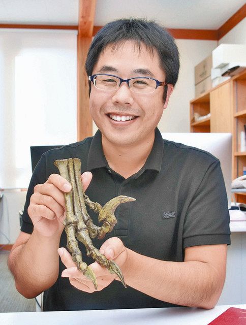 恐竜 鳥 進化時 足の筋肉発達 楽に二足歩行 過程を解明 日刊県民福井web