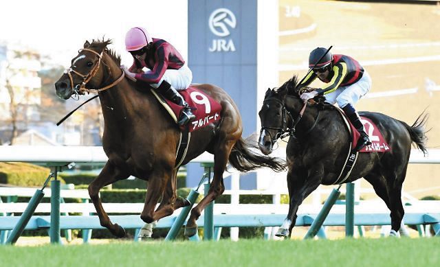 ステイヤーズｓで3連覇 生粋のステイヤー アルバートがついに引退 36戦9勝 優駿ｓｓで種牡馬へ 中日スポーツ 東京中日スポーツ