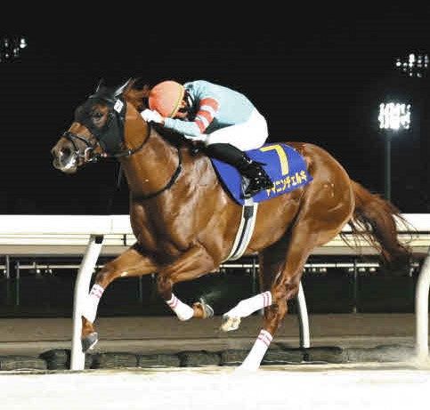 8ff11ec660aa21baacce8459adadd5