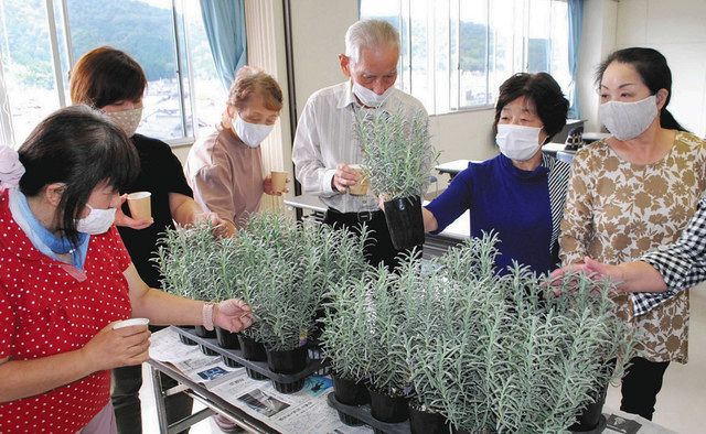 ハーブの種類や栽培学ぶ 小浜で研修会 中日新聞web