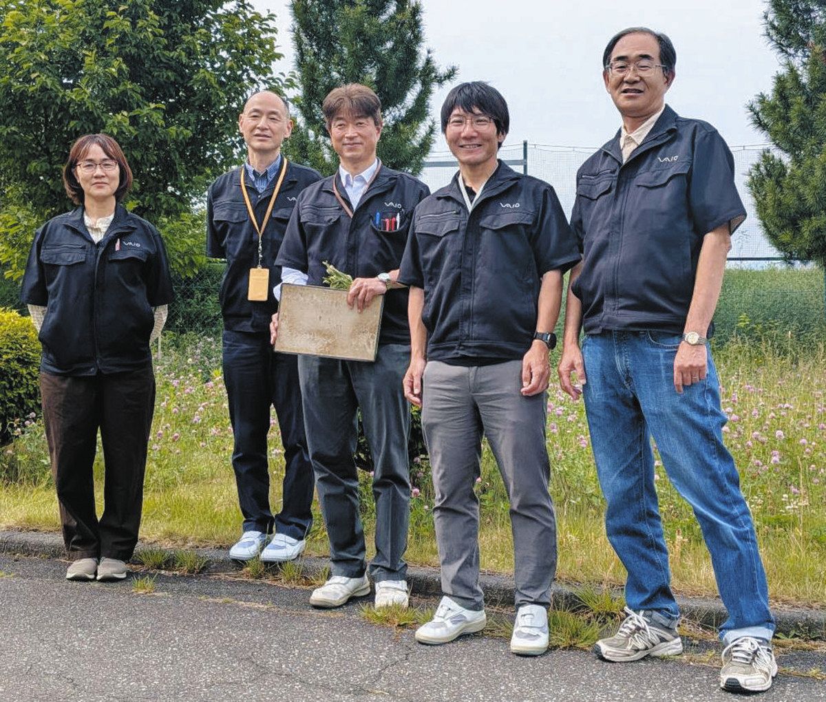 絶滅恐れのオオルリシジミ自然繁殖 安曇野・VAIOで成虫の飛翔初確認