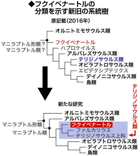 勝山の恐竜フクイベナートル テリジノサウルス類と解明 県立恐竜博物館など 日刊県民福井web