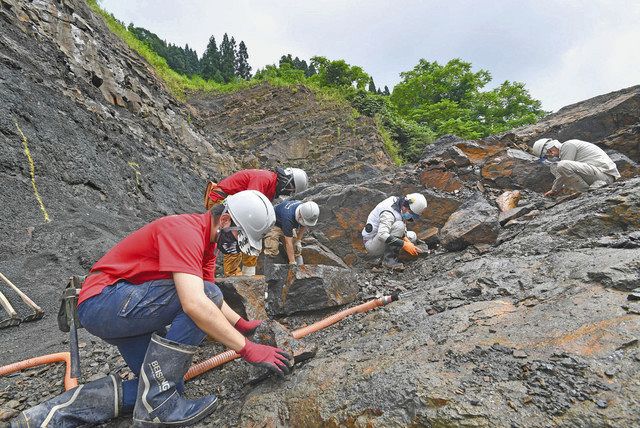 新種発掘高まる期待 第４次恐竜化石調査説明会 日刊県民福井web