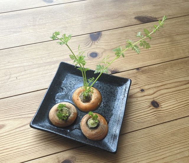 野菜の根 ヘタから再生 楽ちんキッチン菜園 中日新聞web 野菜の根 ヘタから再生 楽ちんキッチン菜園 中日新聞web