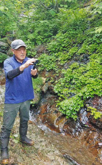 エチゼンダイモンジソウの自生地を確認する大川代表理事＝坂井市丸岡町の丈競山で（竹田文化共栄会提供） 