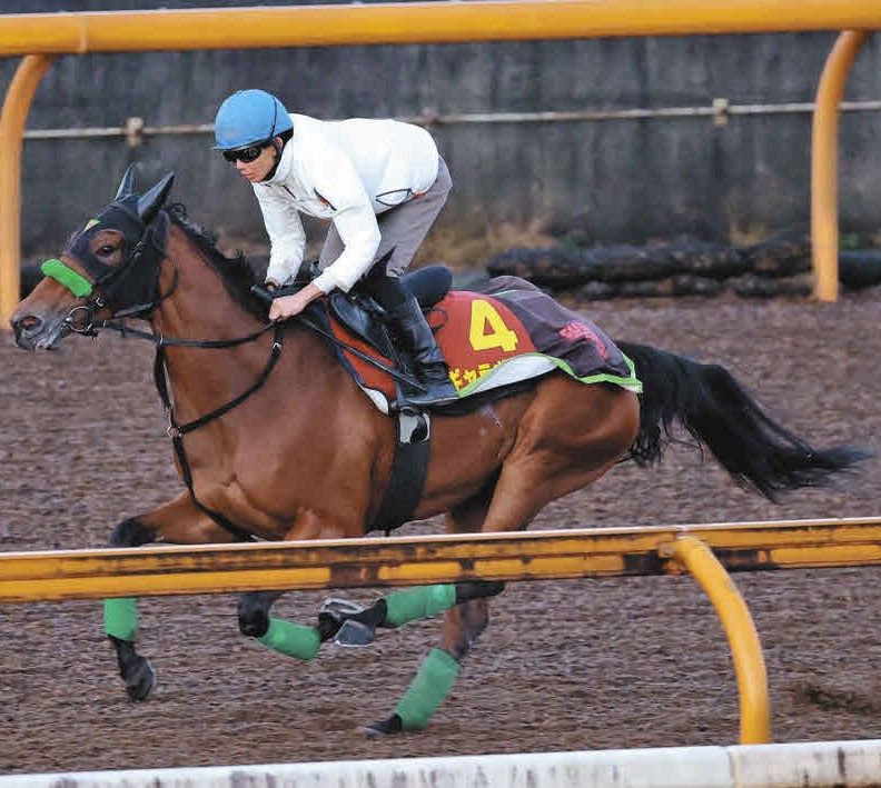 Monroe Walk wins the Shuka Sho by a neck