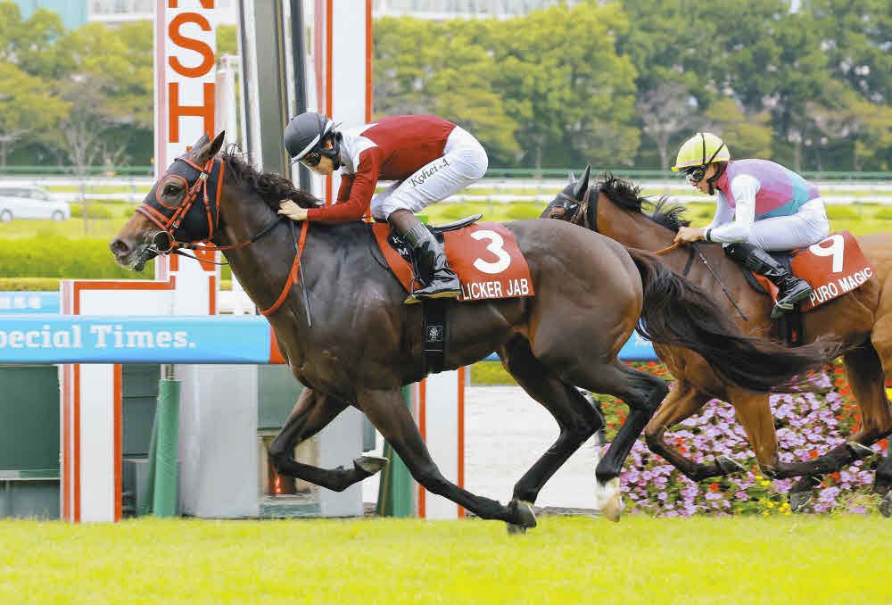 セントウルS】松山弘平騎乗の1番人気フリッカージャブが差し切り重賞2