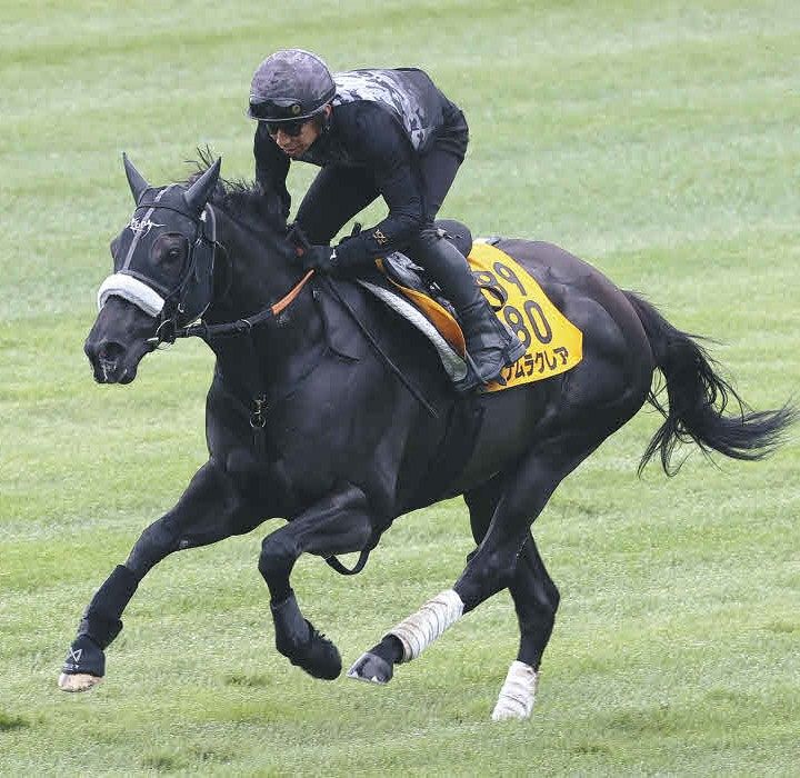 函館スプリントS追い切り】ナムラクレア好仕上がり！ 長谷川師