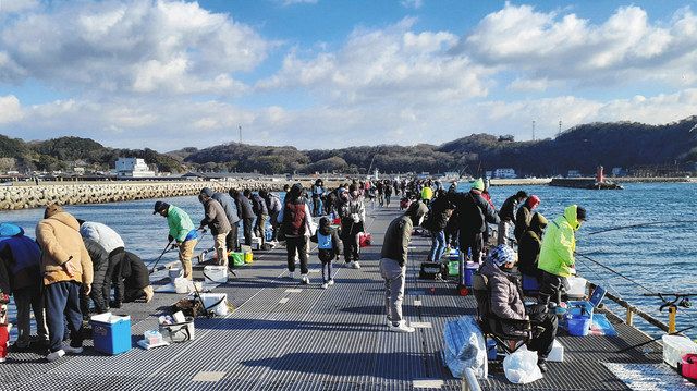 マイワシ大漁 愛知県南知多町豊浜 中日スポーツ 東京中日スポーツ マイワシ大漁 愛知県南知多町豊浜 中日スポーツ 東京中日スポーツ