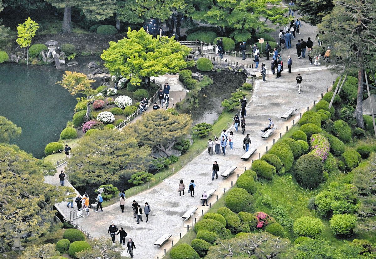 名園 新緑のGW 兼六園 朝から観光客：北陸中日新聞Web