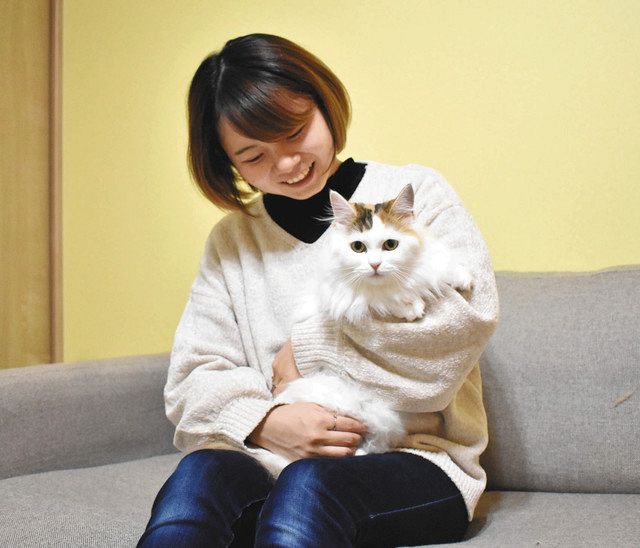 「猫伝染性腹膜炎」と診断されたメリを抱く坂井さん=福井市で