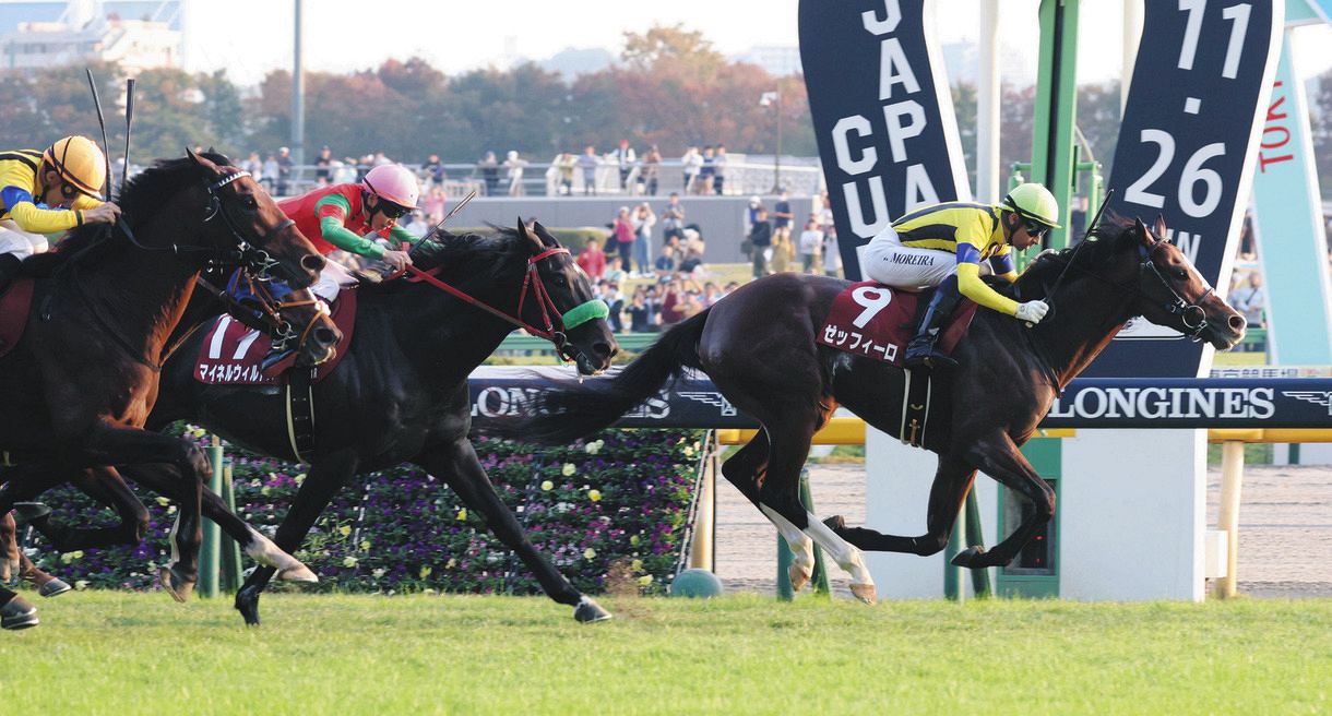 マイネルウィルトス1馬身差の2着…横山武「この馬なりによく