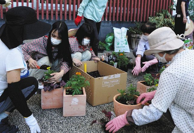 ｊｒ東小浜駅に しあわせの花壇 設置 市社協や若狭東高生ら制作 中日新聞web