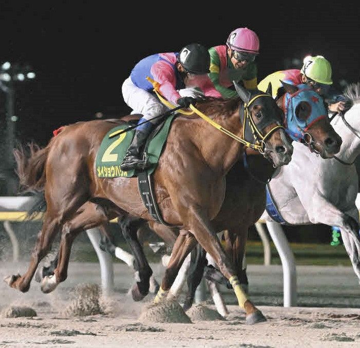 有力馬の動向】メイショウハリオは11月のJBCクラシック目標に