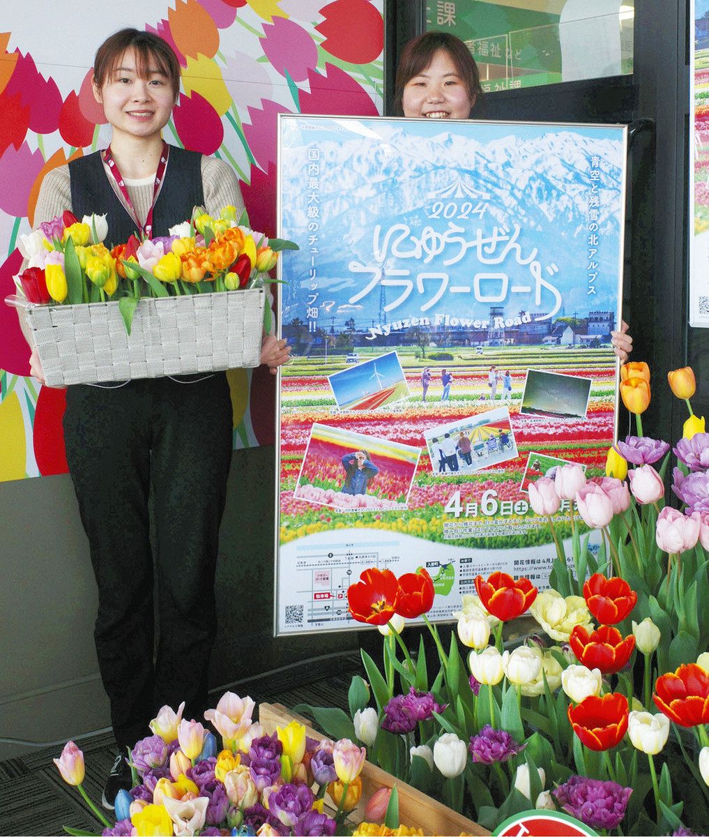 フラワーロード ポスターでPR 入善町 4月6日開幕：北陸中日新聞Web