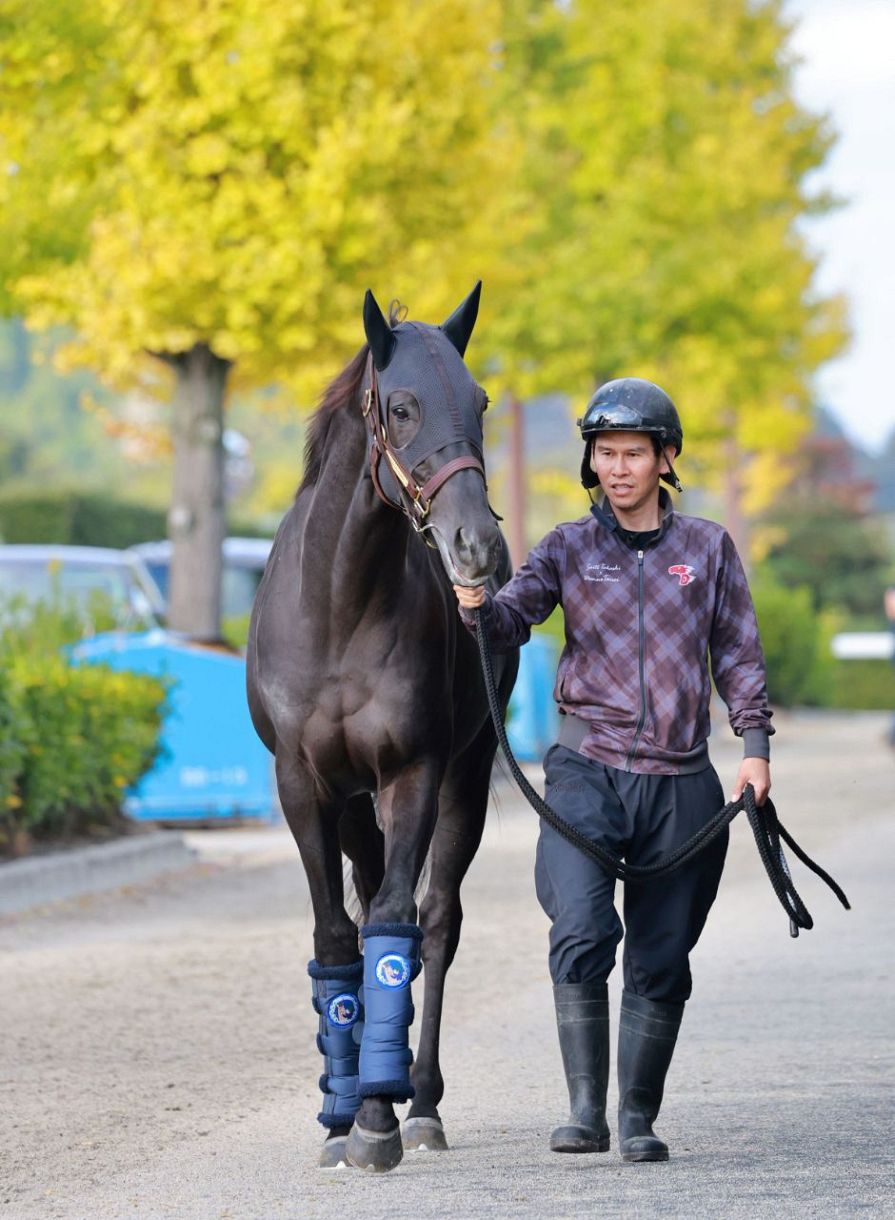 凱旋門賞に挑戦した日本ダービー馬クロワデュノールが元気に帰厩、今後