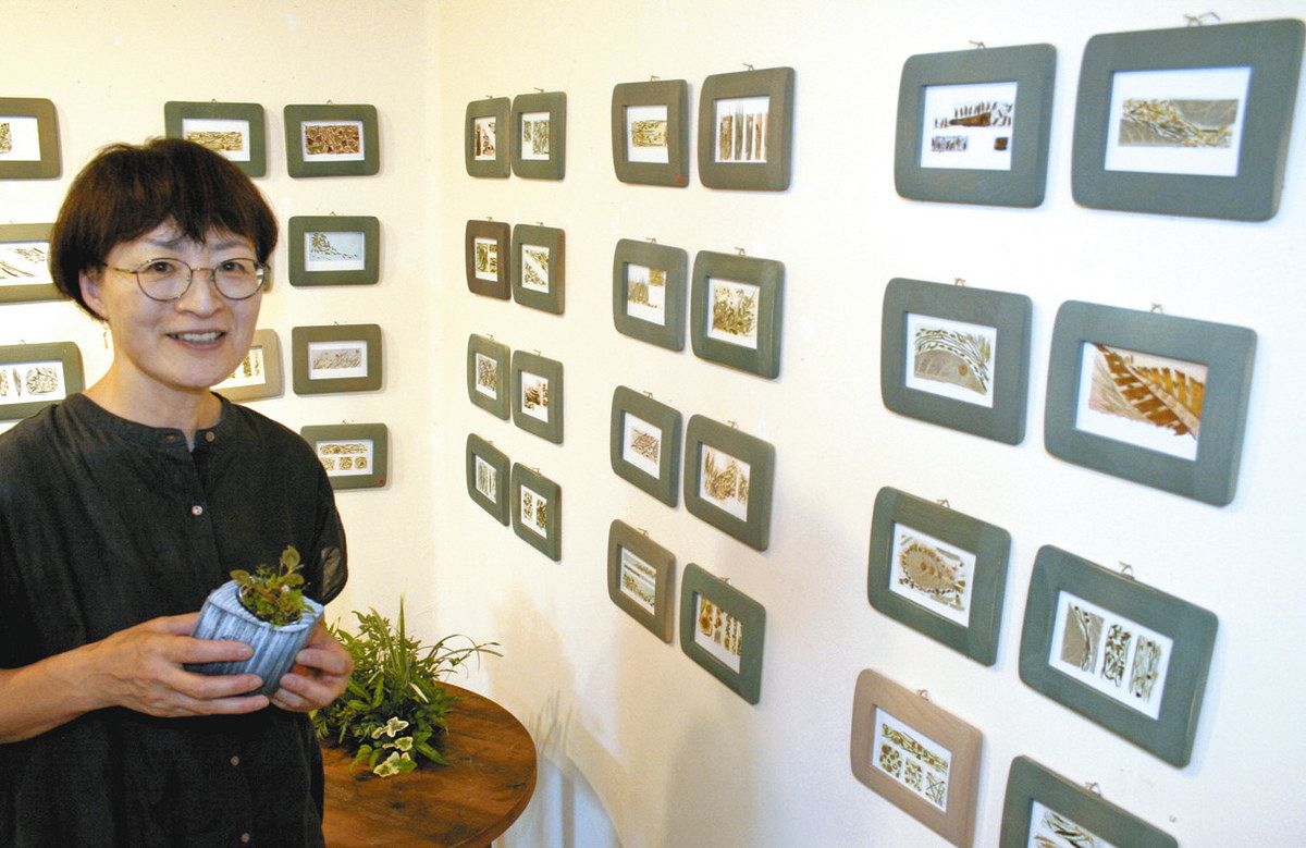 押し花」をボードに貼り額装 安曇野で「草文葉図」の作品展：中日新聞Web