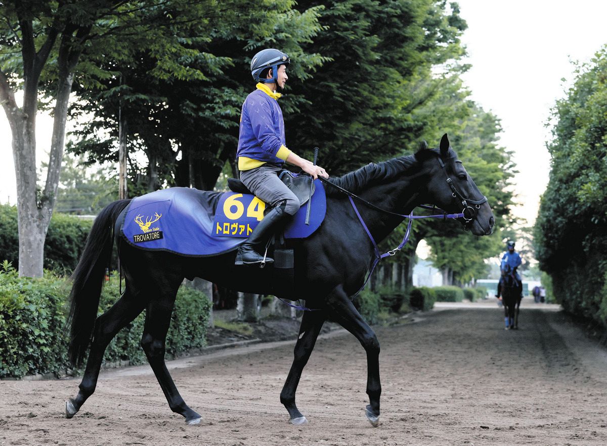 トロヴァトーレ