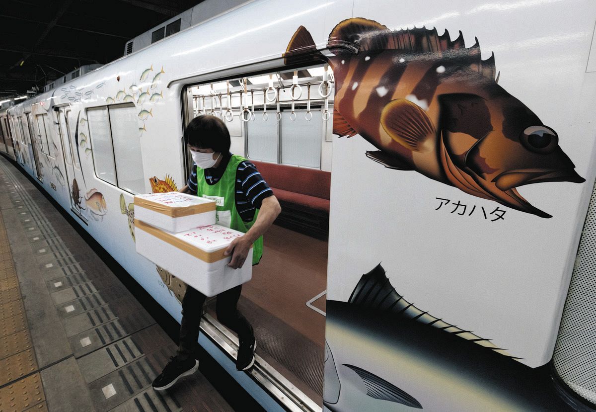 動画】伊勢エビを三重から大阪へ…貨客混載列車「伊勢志摩お魚図鑑