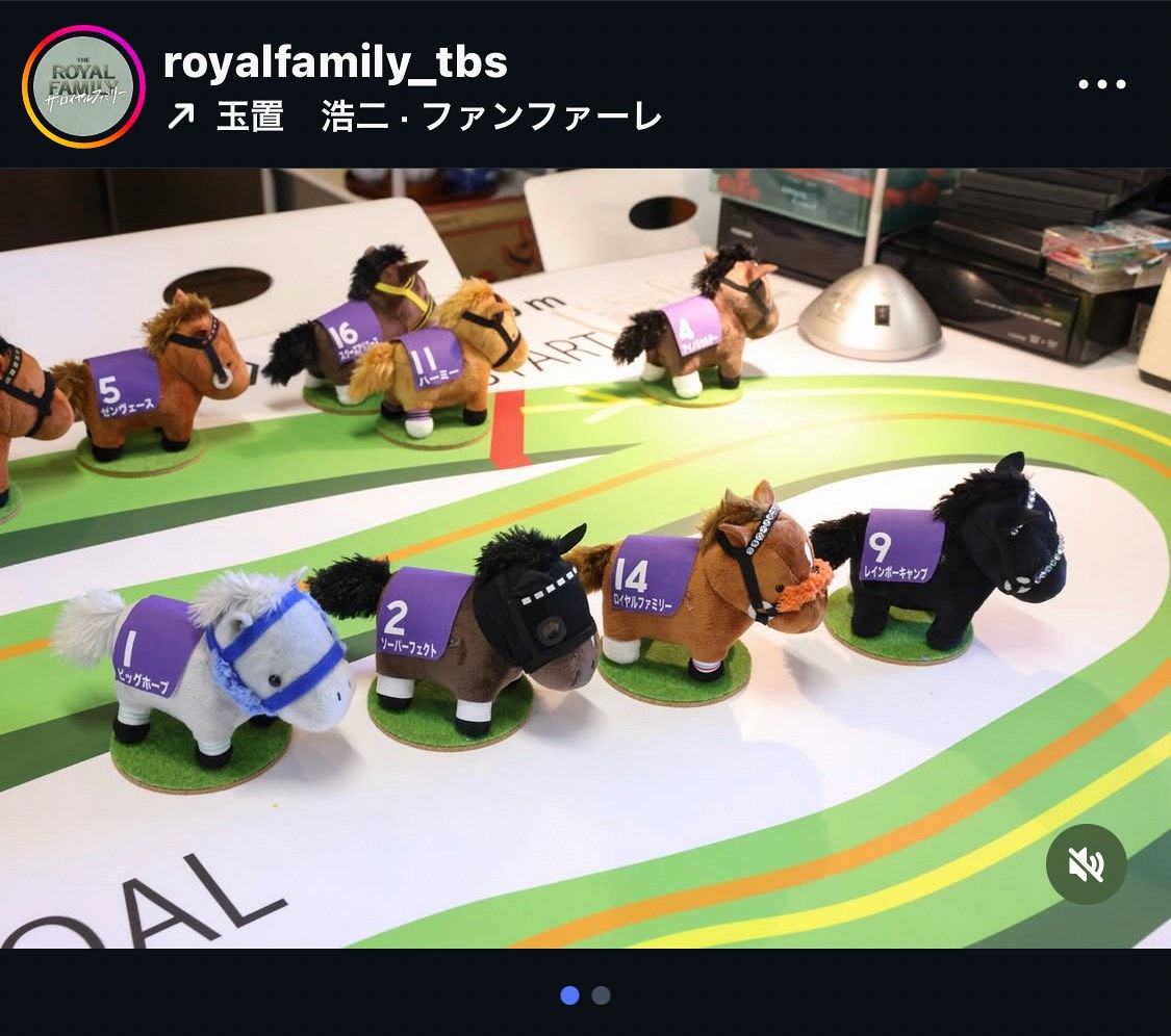 ザ・ロイヤルファミリー　ぬいぐるみ ◇ザ・ロイヤルファミリー、ドラマに出てきた競走馬のぬいぐるみ【写真