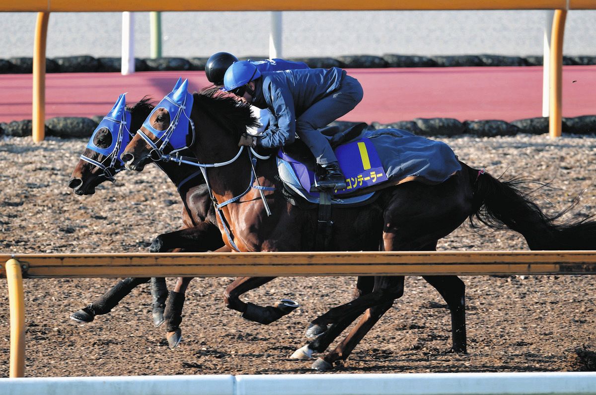 JRA 実使用 ゼッケン 中京競馬場 チャンピオンズC GⅠアイコンテーラー JRA 実使用 ゼッケン 中京競馬場 チャンピオンズC GⅠアイコン